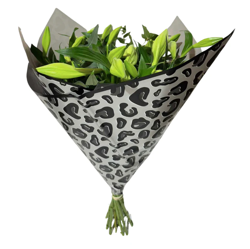 Emballage cellophane pour fleurs : imprimé léopard gris (paquet de 20)