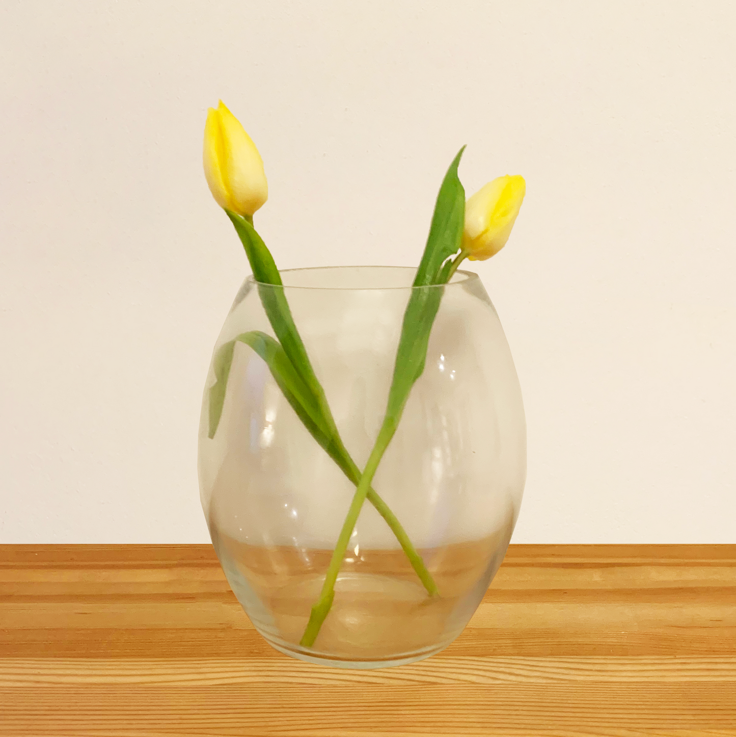 Classic Oval Glass Vase 20x17cm