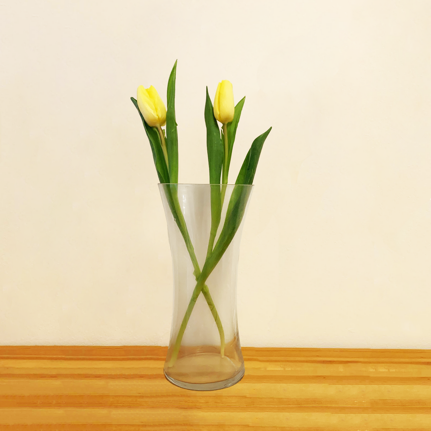 Conical Glass Vase 25x12cm