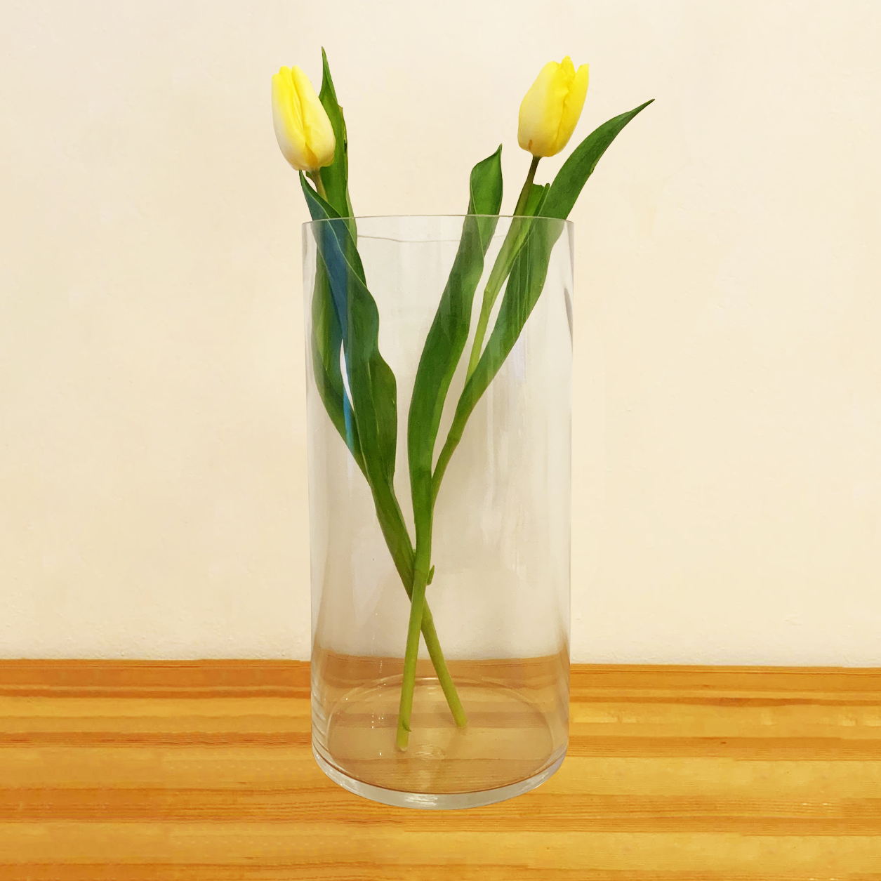 Cylinder Glass Vase 15x30cm