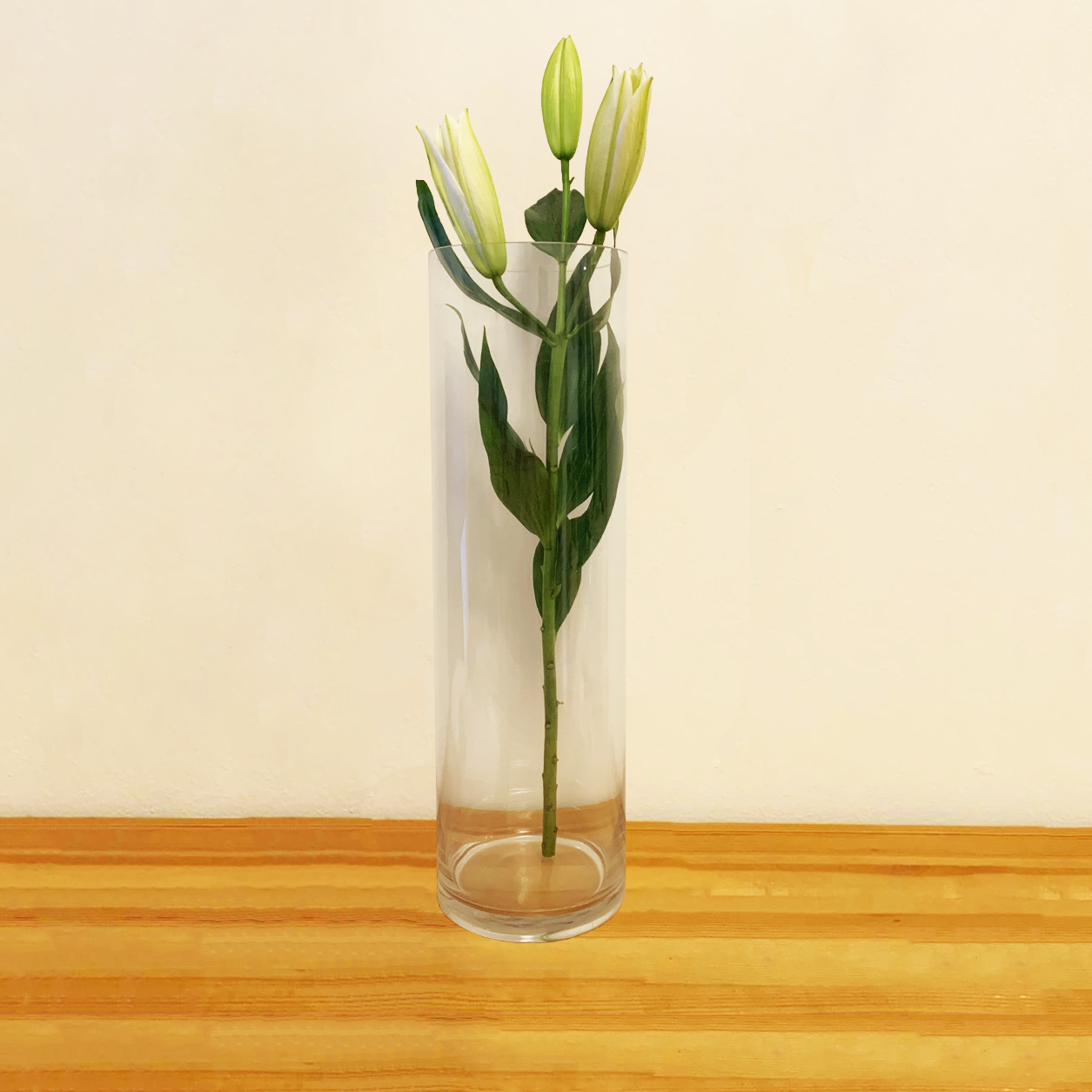 Cylinder Glass Vase 15x50cm
