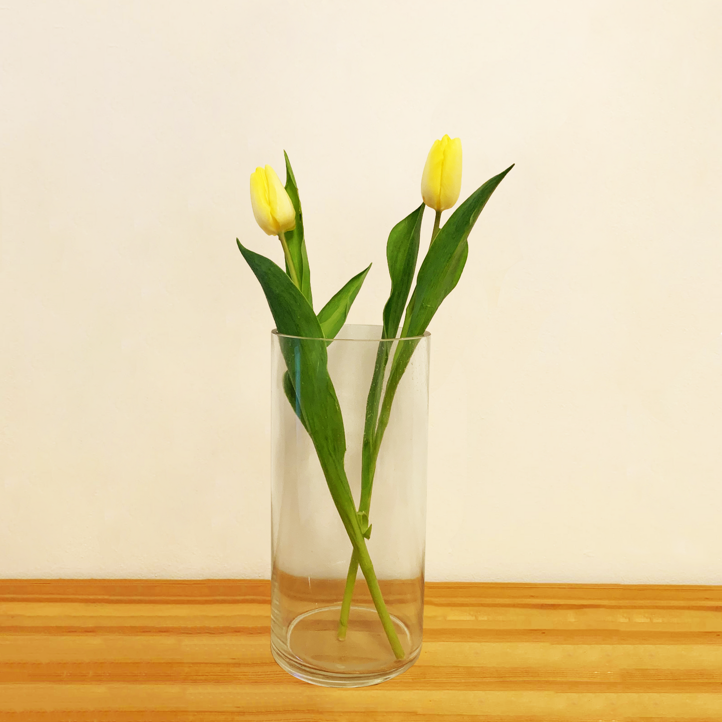 Cylinder Glass Vase 12x25cm