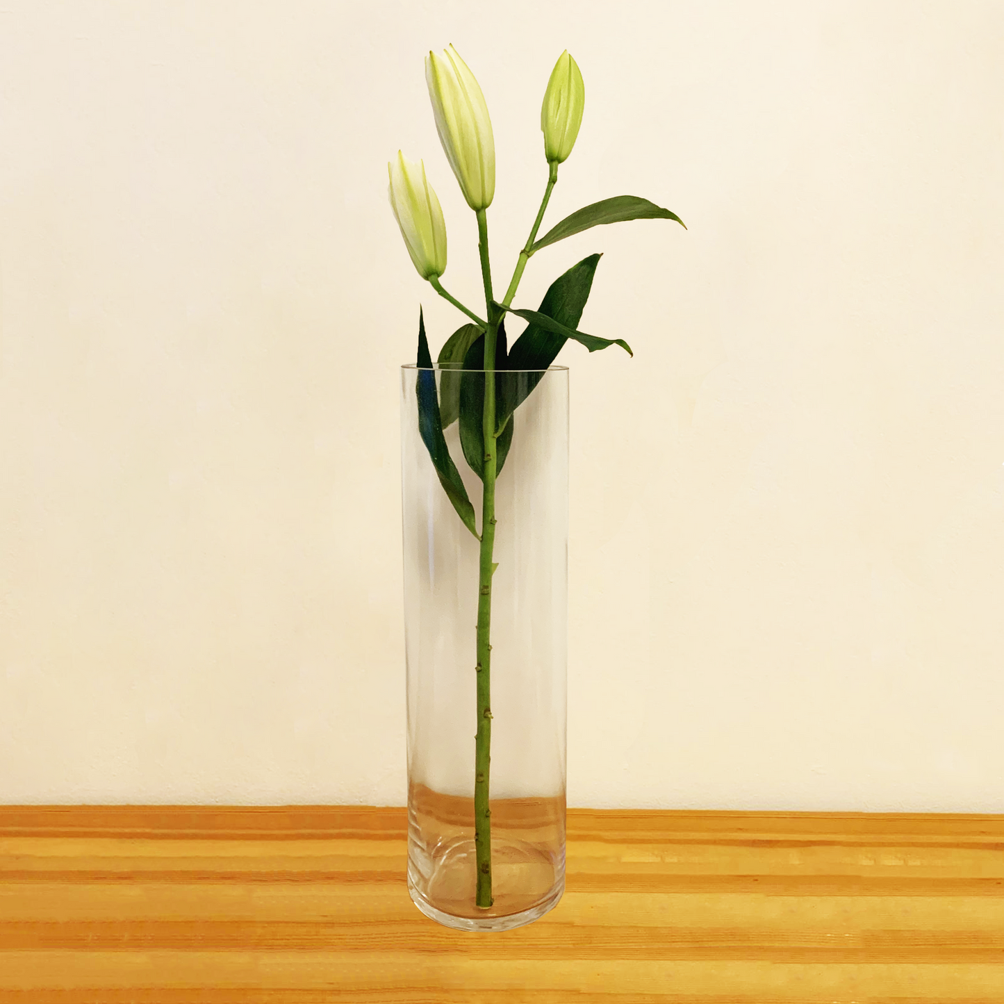 Cylinder Glass Vase 12x40cm
