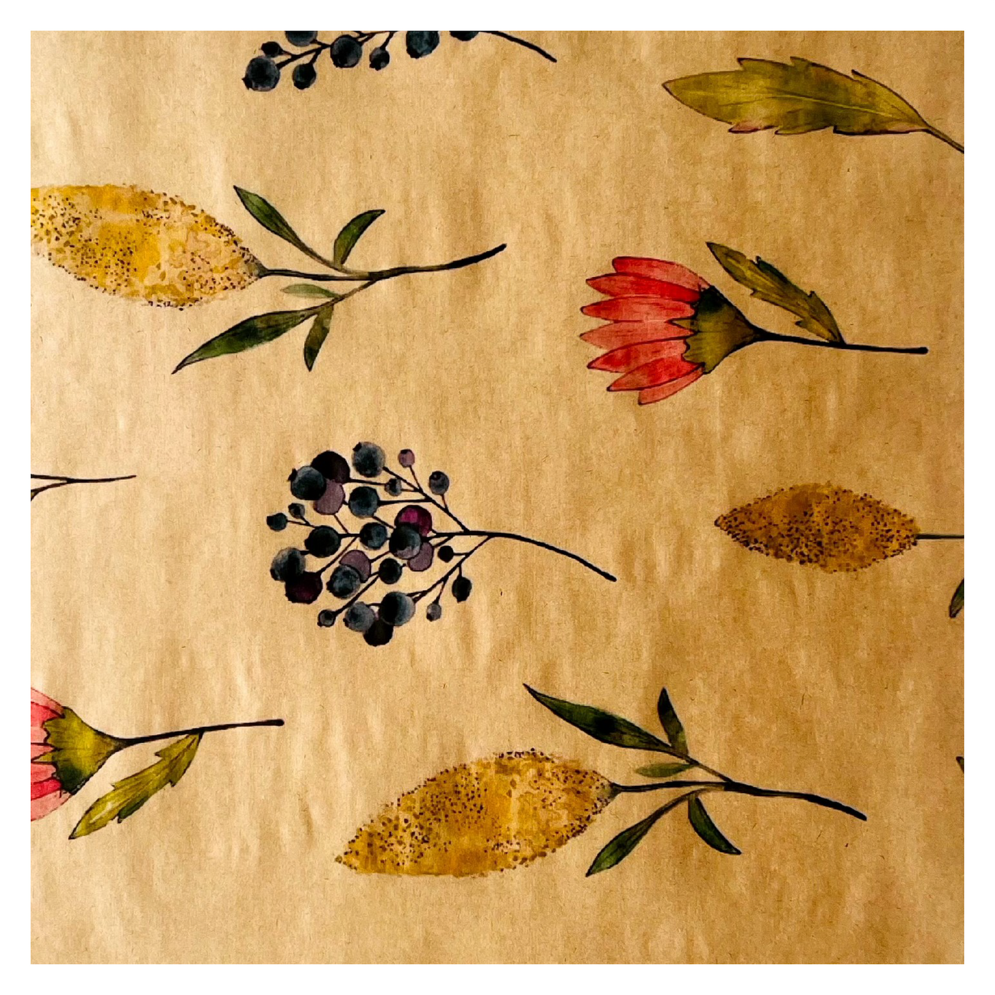 Manchon Eco Bouquet 1 - Fynbos (paquet de 20)