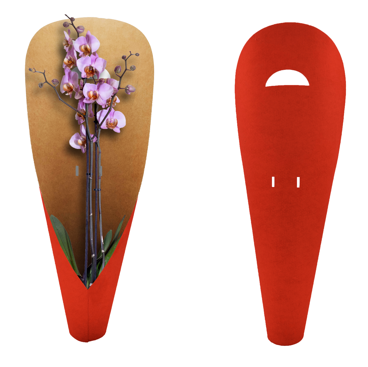 Orchideen-Tragetasche – schlichtes Rot (20er-Pack)