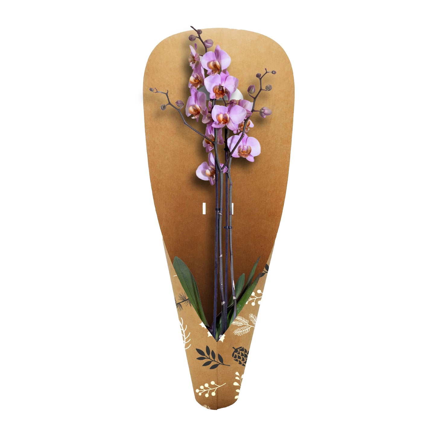 Orchideen-Tragetasche – Tannenzapfen, Schwarzweiß (20er-Pack)