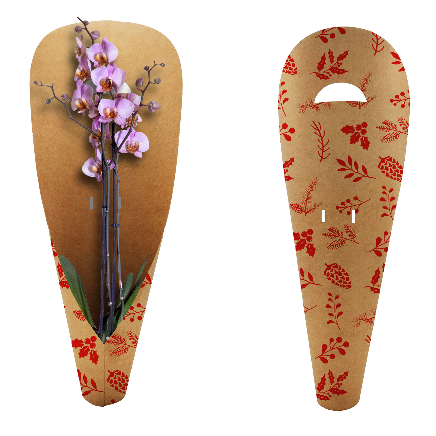 Orchideen-Tragetasche – Tannenzapfenrot (20er-Pack)
