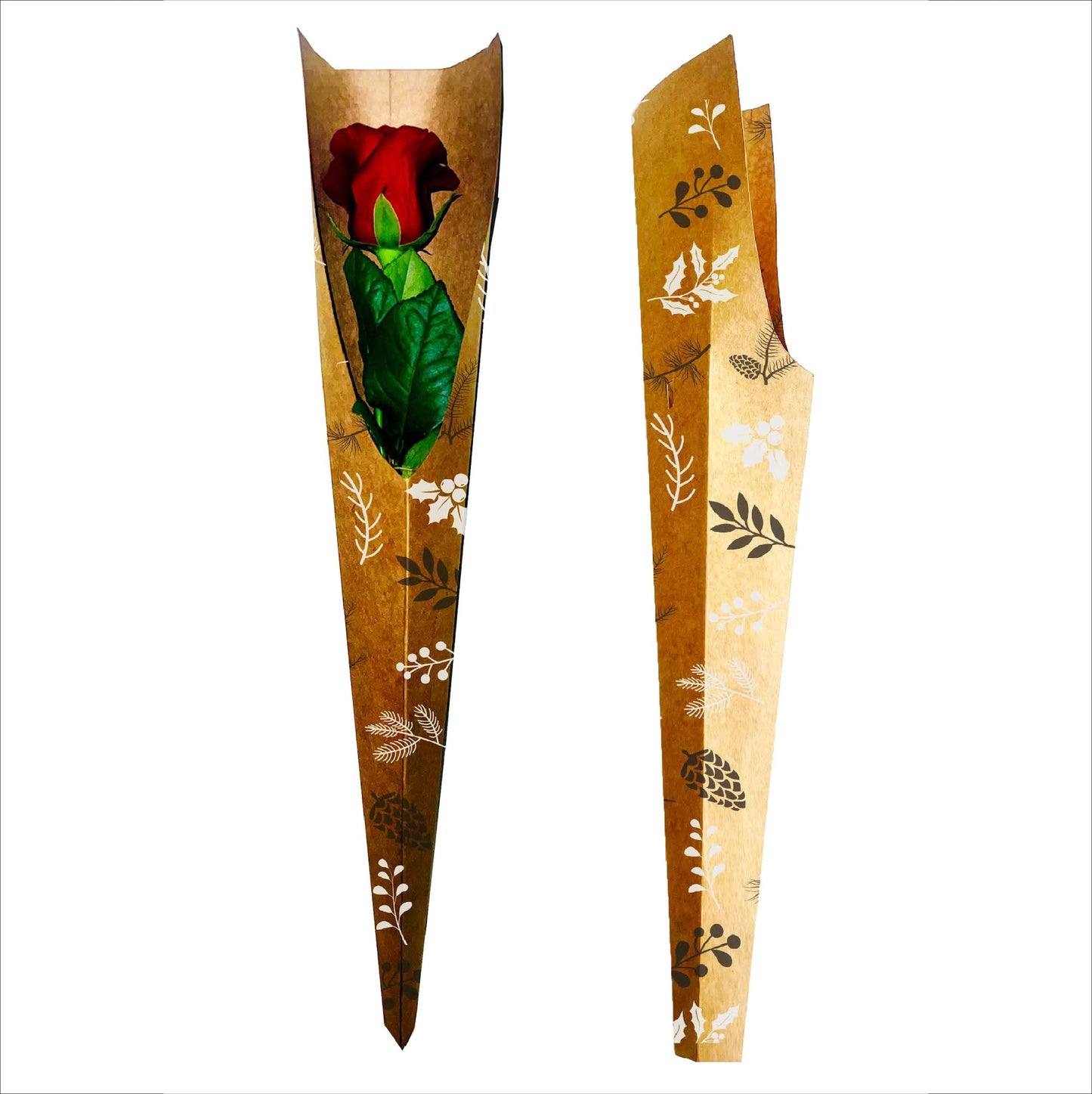 Einzelne Rosenhülle – Tannenzapfen, Schwarzweiß (20er-Pack)