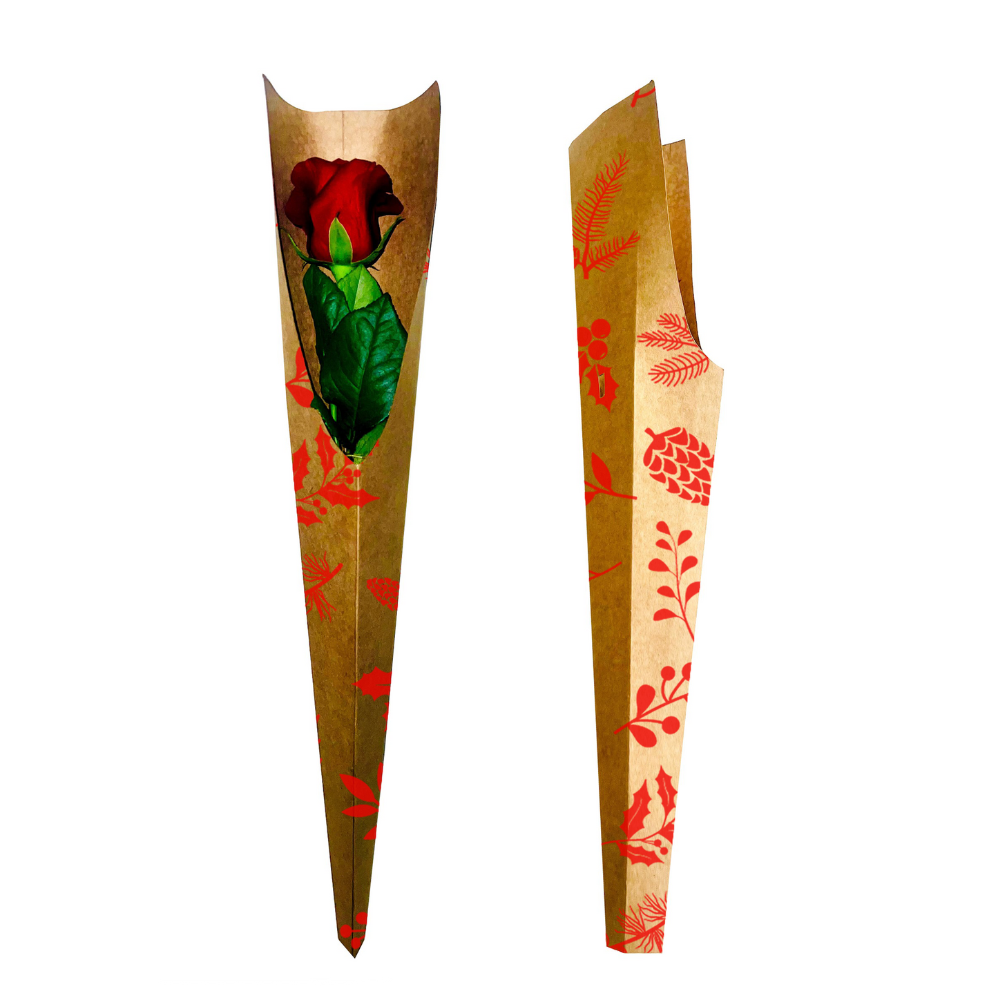 Einzelne Rosenhülle – Tannenzapfenrot (20er-Pack)