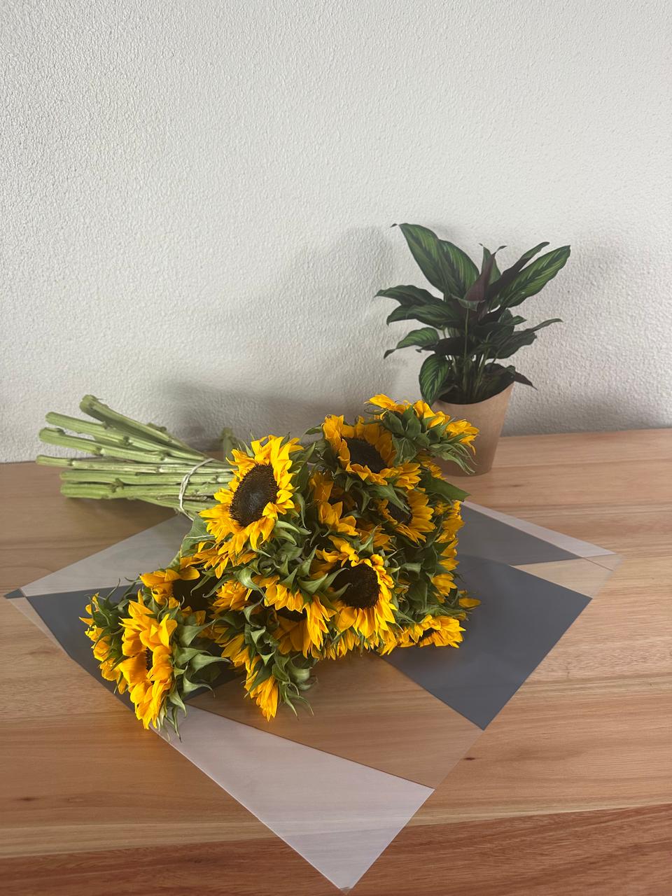 Emballage cellophane pour fleurs : deux tons gris et blanc, bordure dorée (paquet de 20)