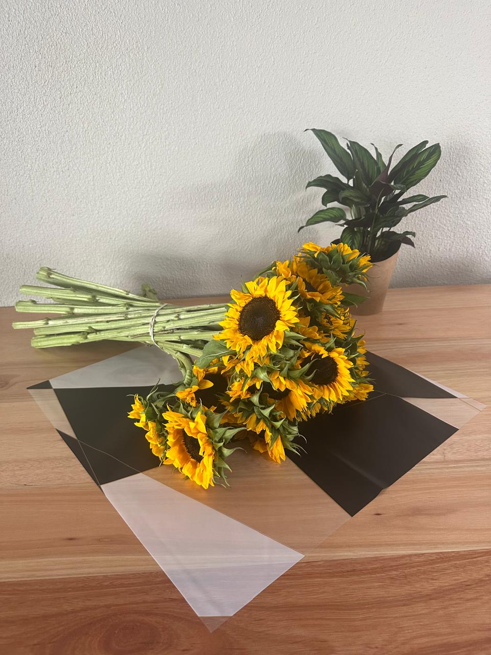 Emballage de fleurs en cellophane : bordure dorée bicolore noire et blanche (paquet de 20)