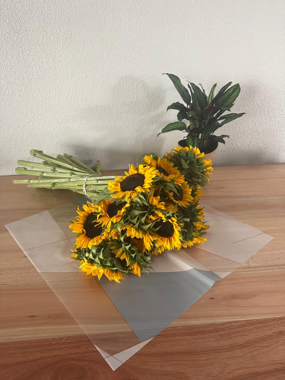 Emballage cellophane pour fleurs : abricot bicolore et bordure or blanc (paquet de 20)