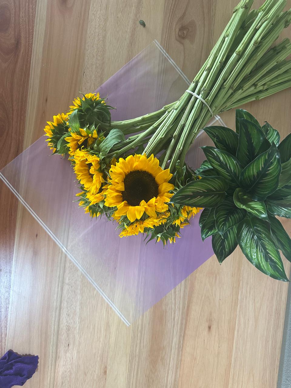 Emballage cellophane pour fleurs : violet transparent avec bordure blanche (paquet de 20)