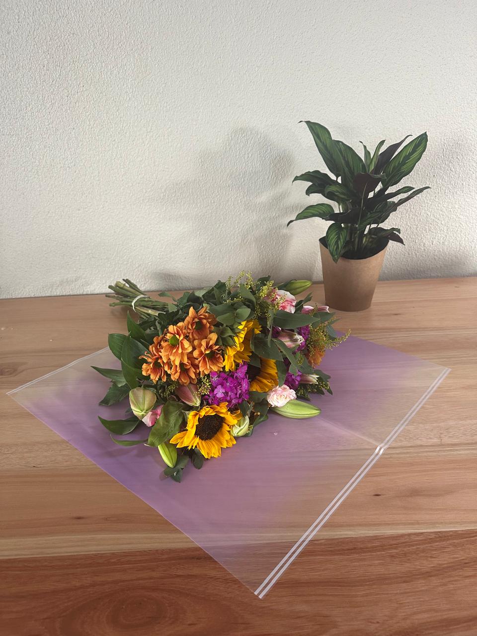 Emballage cellophane pour fleurs : violet transparent avec bordure blanche (paquet de 20)