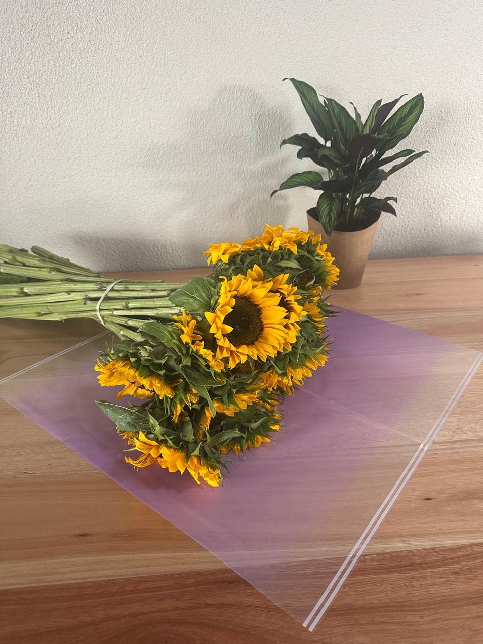 Emballage cellophane pour fleurs : violet transparent avec bordure blanche (paquet de 20)
