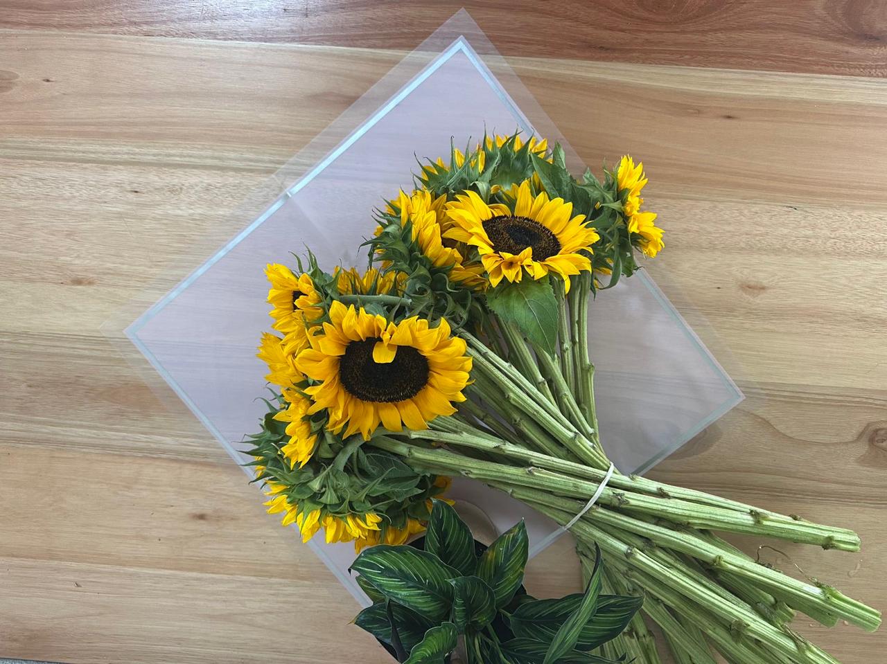 Emballage cellophane pour fleurs : rose transparent avec bordure givrée et bordure dorée (paquet de 20)