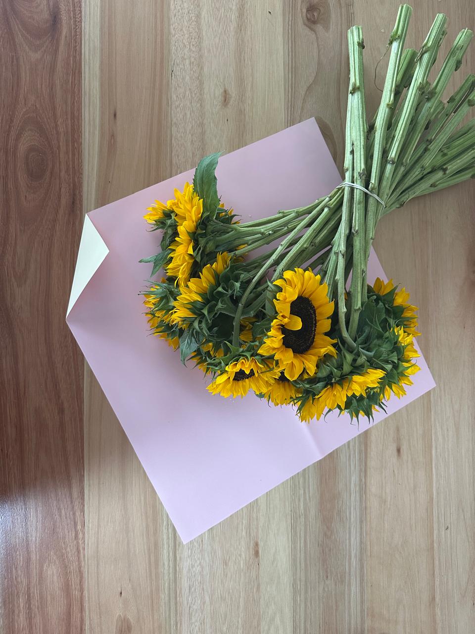 Cellophane Flower Wrap: Two Tone Light Pink & Cream (Pack of 20)