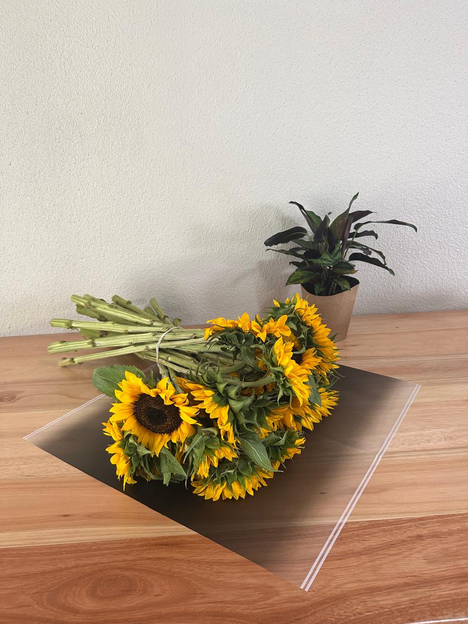 Emballage cellophane pour fleurs : noir transparent avec bordure blanche (paquet de 20)