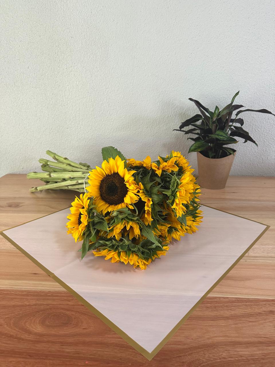 Emballage cellophane pour fleurs : blanc transparent avec bordure dorée (paquet de 20)