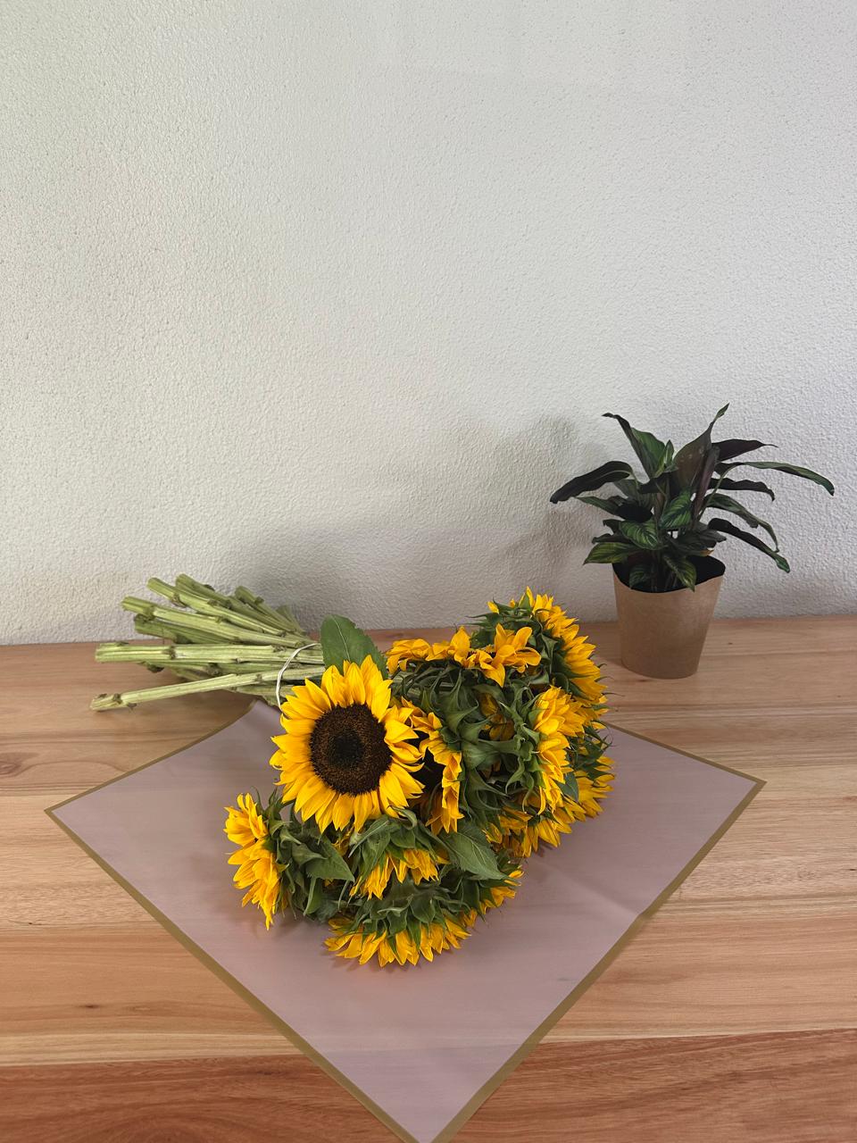 Emballage cellophane pour fleurs : rose crème semi-transparent avec bordure dorée (paquet de 20)