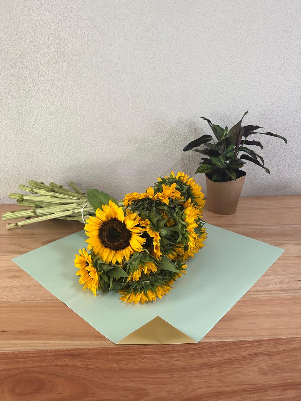 Emballage cellophane pour fleurs : vert sauge et or bicolore (paquet de 20)