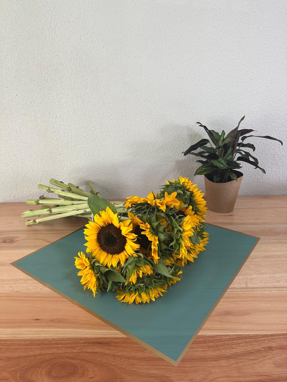 Emballage cellophane pour fleurs : turquoise foncé semi-transparent avec bordure dorée (paquet de 20)
