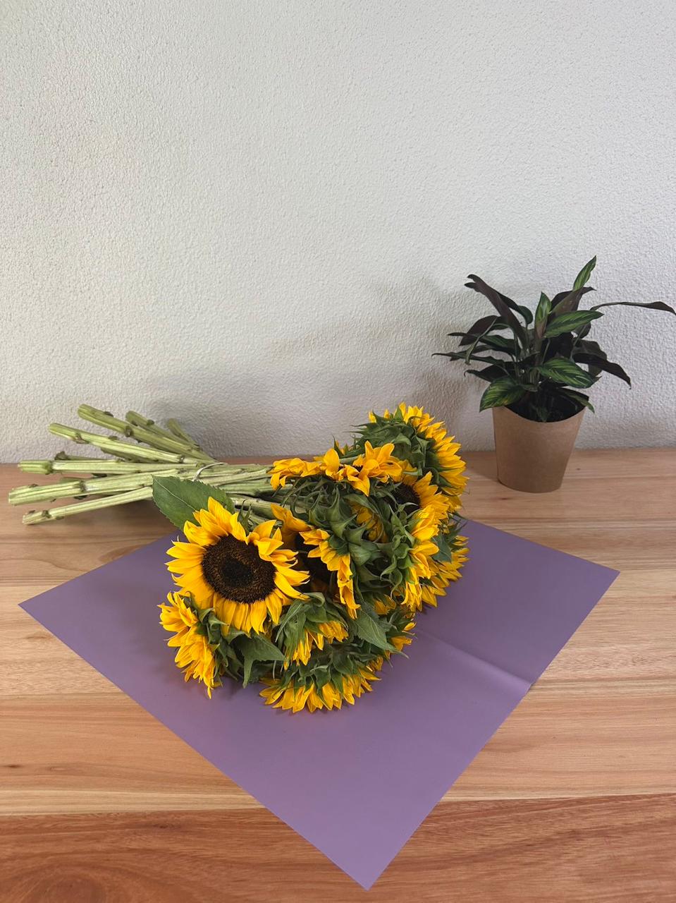 Emballage cellophane pour fleurs : violet clair transparent (paquet de 20)