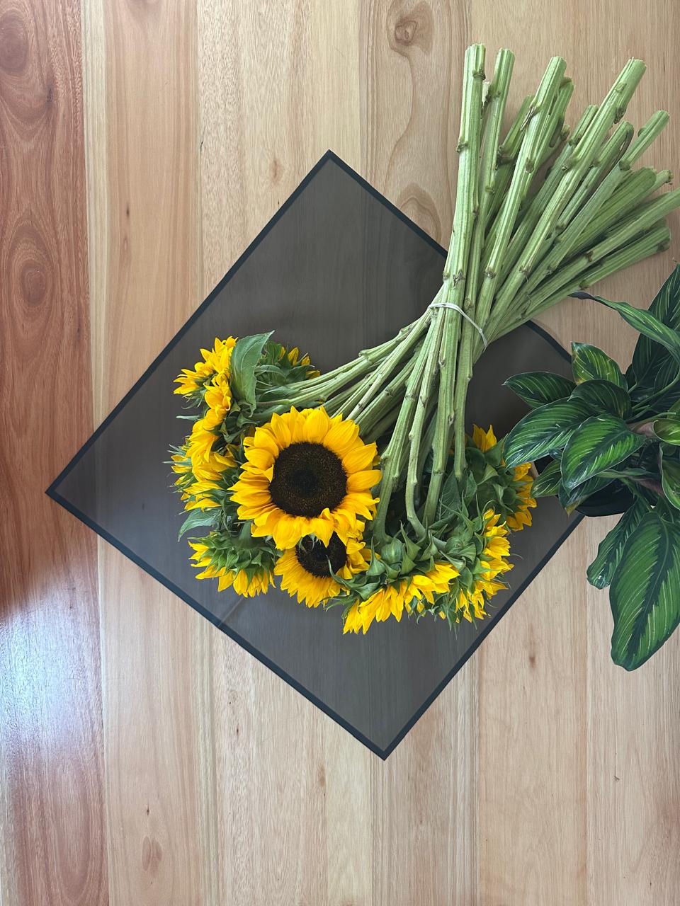 Cellophane Flower Wrap: Semi Transparent Black With Black Border (Pack of 20)