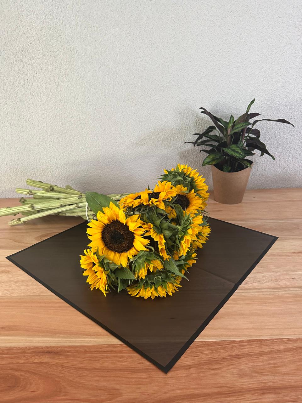 Cellophane Flower Wrap: Semi Transparent Black With Black Border (Pack of 20)