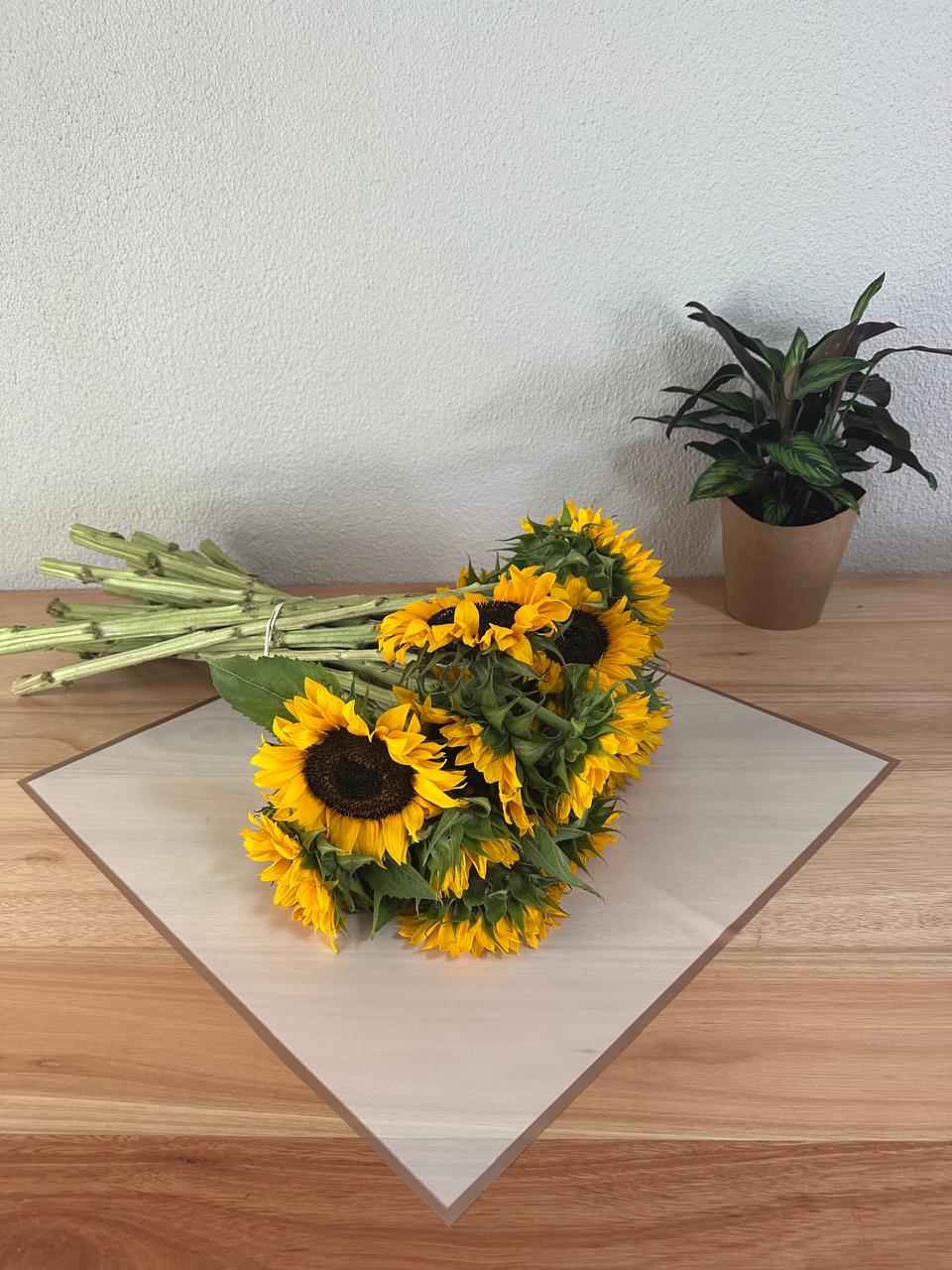 Emballage cellophane pour fleurs : jaune avec bordure dorée (paquet de 20)