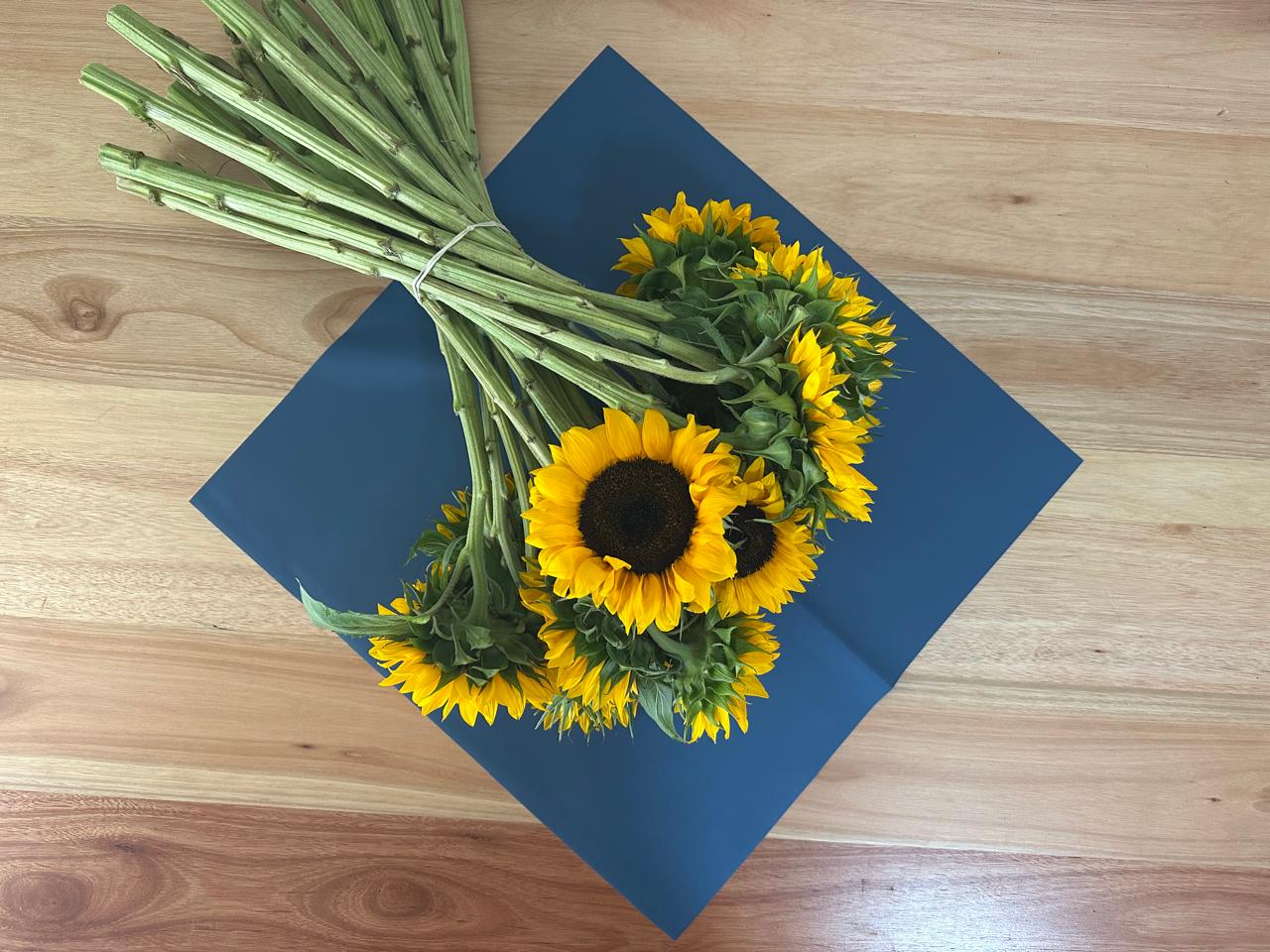 Emballage cellophane pour fleurs : bleu indigo et bleu acier bicolores (paquet de 20)