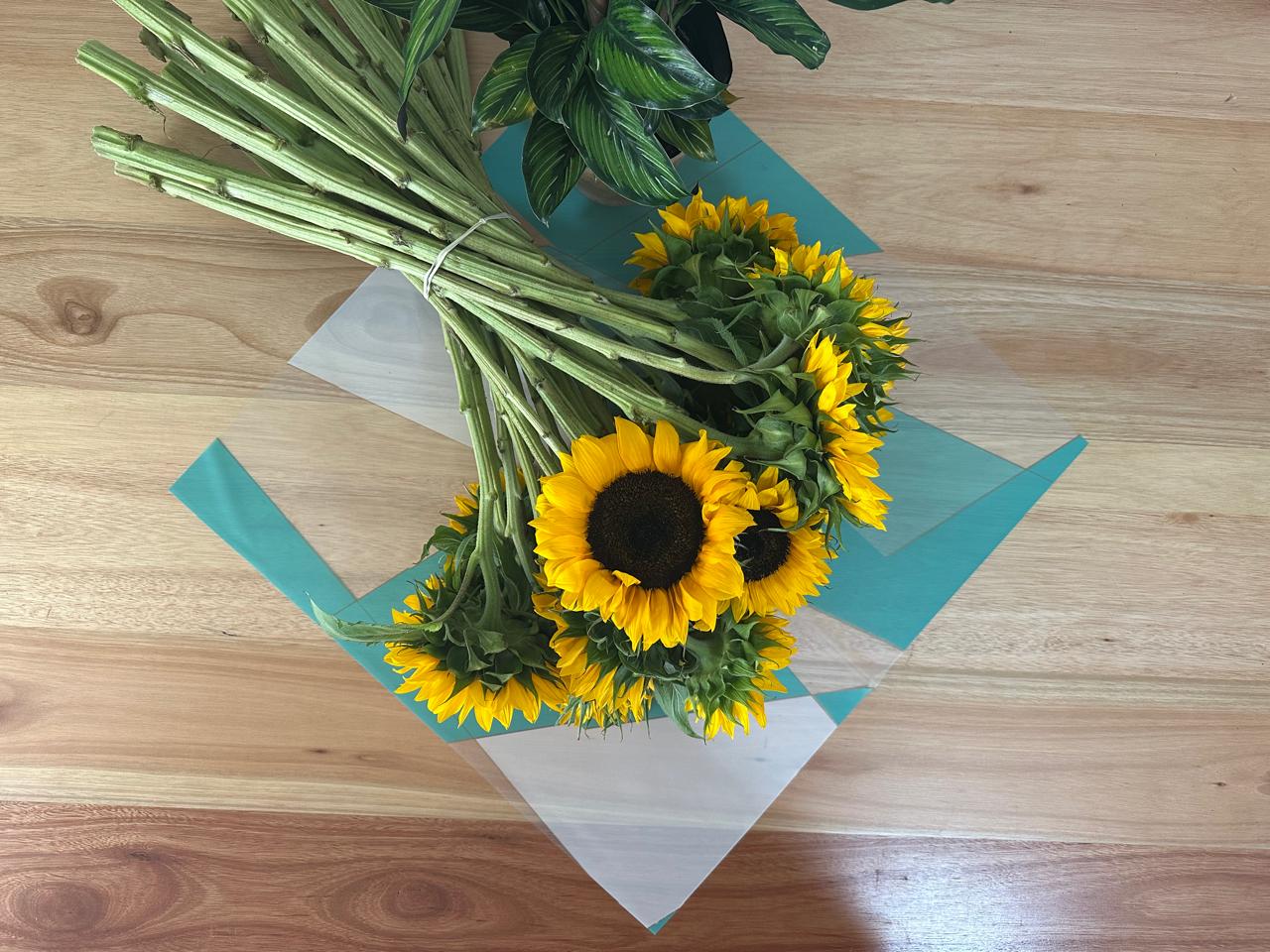 Emballage de fleurs en cellophane : bordure dorée bicolore verte et blanche (paquet de 20)