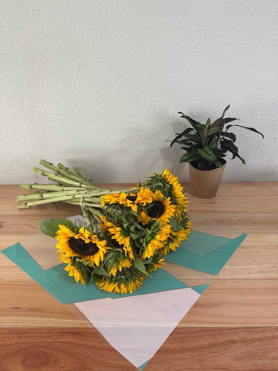 Emballage de fleurs en cellophane : bordure dorée bicolore verte et blanche (paquet de 20)