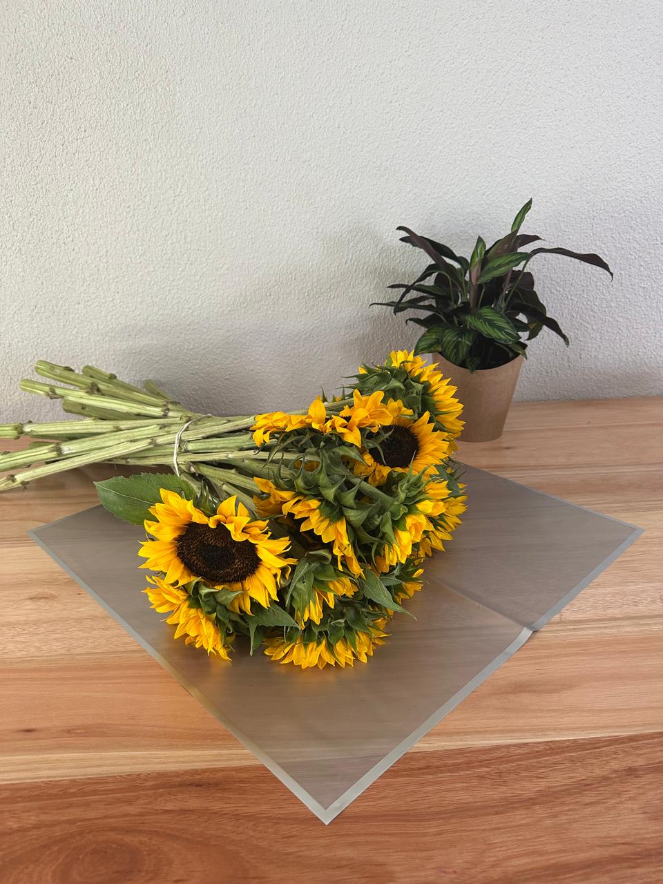 Emballage cellophane pour fleurs : argent transparent avec bordure argentée (paquet de 20)