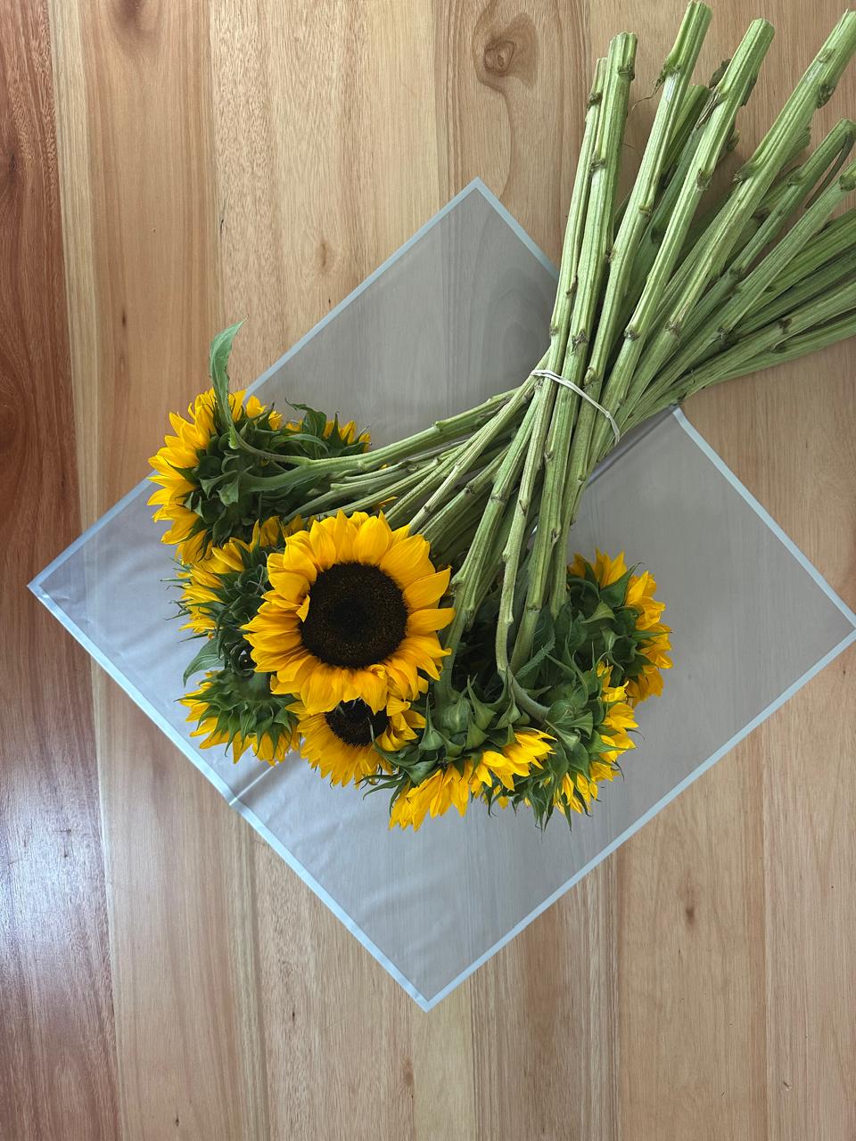 Emballage cellophane pour fleurs : argent transparent avec bordure argentée (paquet de 20)