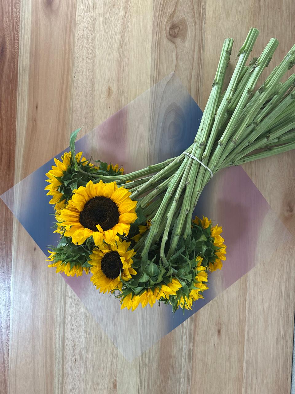 Emballage cellophane pour fleurs : mélange rose poudré et bleu foncé (paquet de 20)