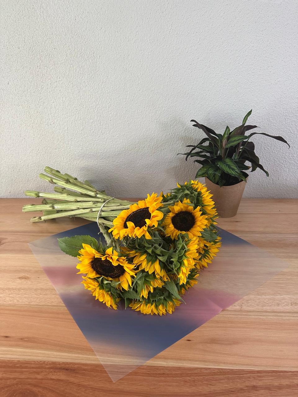 Emballage cellophane pour fleurs : mélange rose poudré et bleu foncé (paquet de 20)