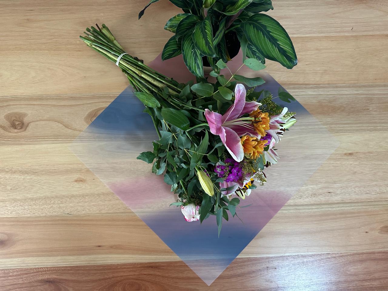 Emballage cellophane pour fleurs : mélange rose poudré et bleu foncé (paquet de 20)