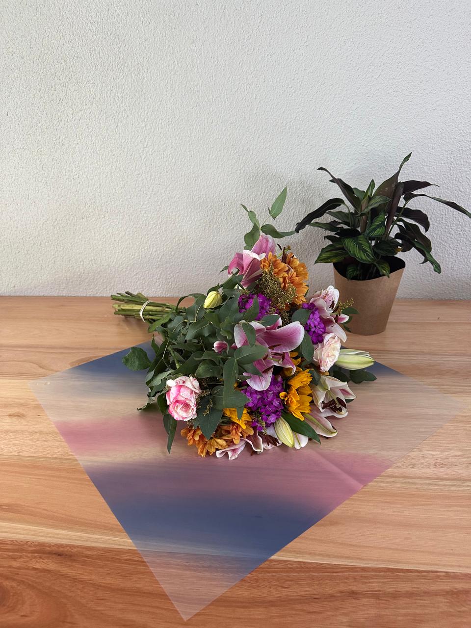 Emballage cellophane pour fleurs : mélange rose poudré et bleu foncé (paquet de 20)
