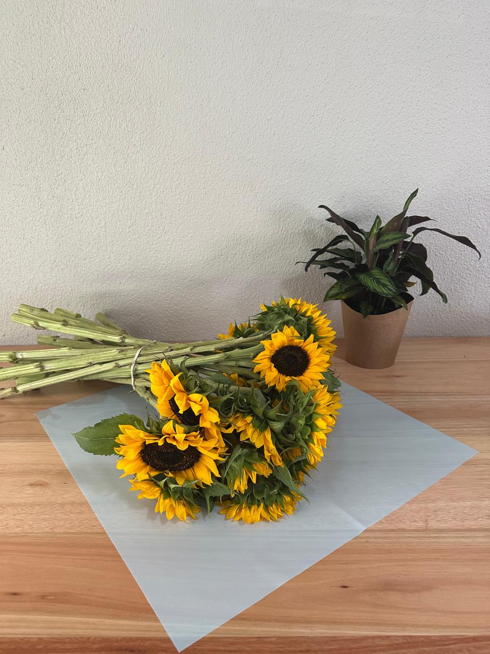 Emballage cellophane pour fleurs : bleu clair transparent (paquet de 20)