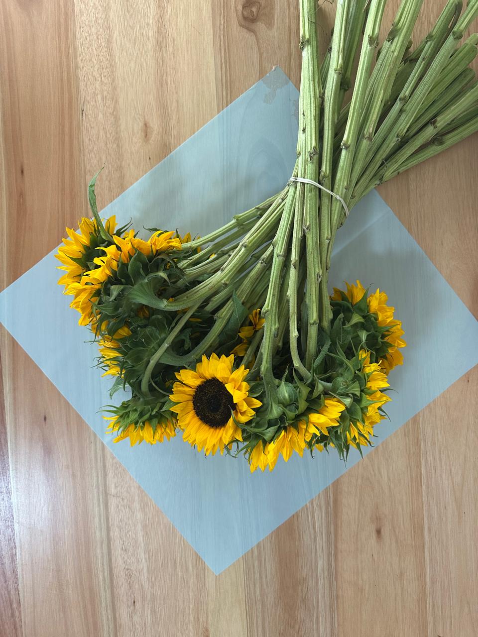 Emballage cellophane pour fleurs : bleu clair transparent (paquet de 20)