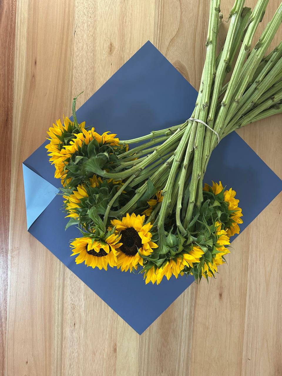 Emballage cellophane pour fleurs : bleu foncé et bleu clair bicolores (paquet de 20)