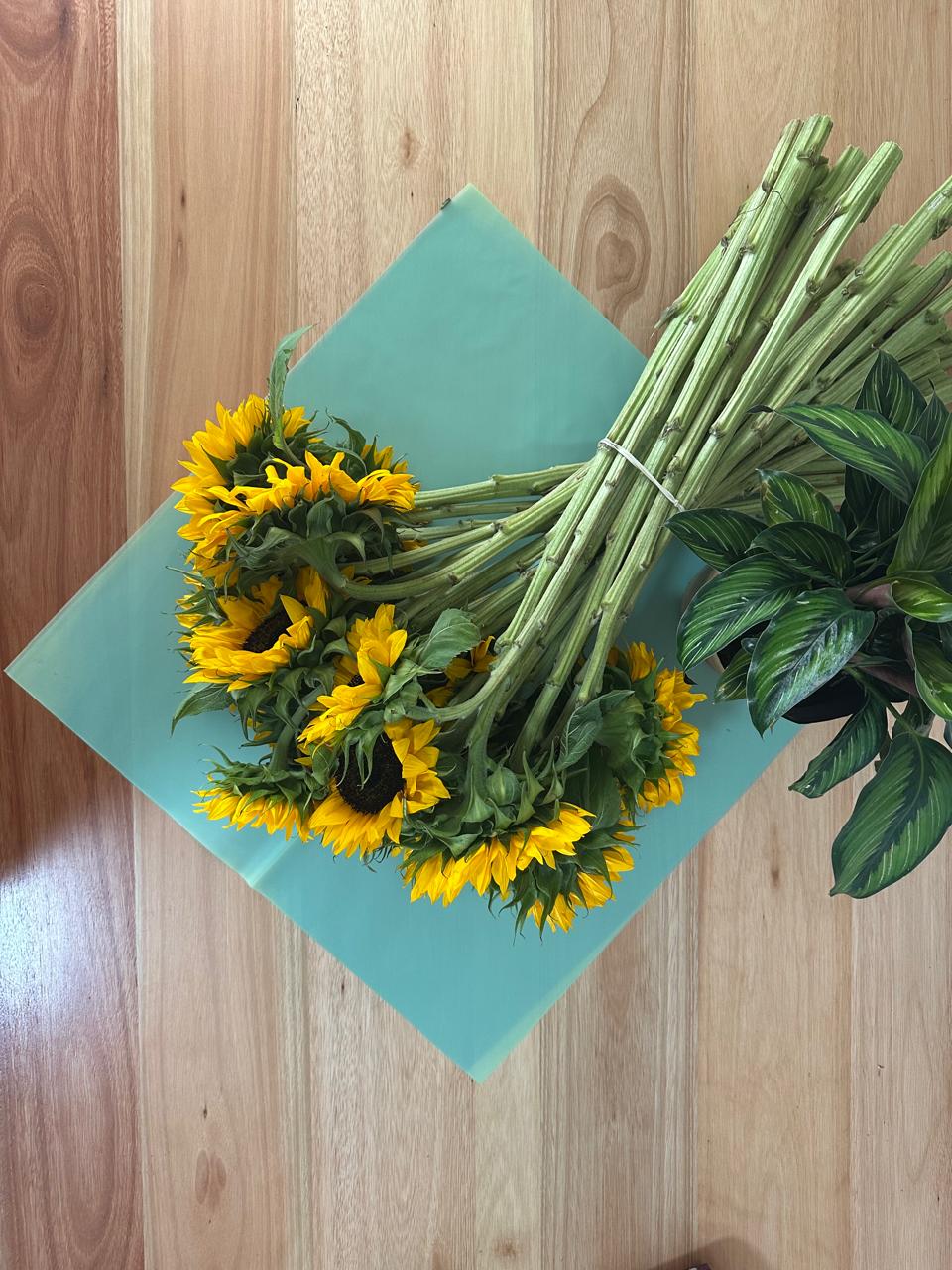 Emballage cellophane pour fleurs : vert transparent (paquet de 20)