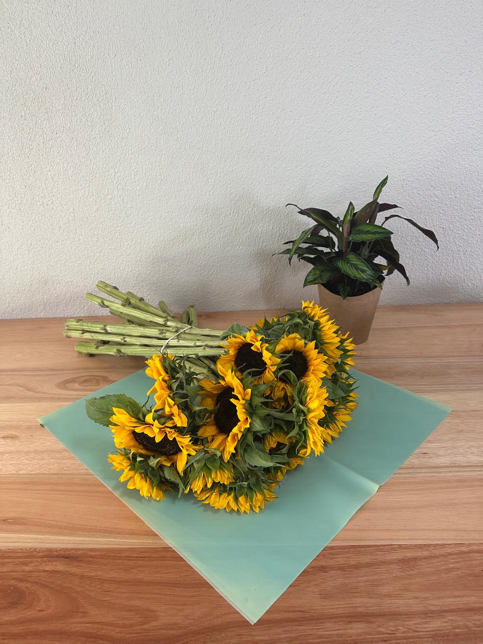 Emballage cellophane pour fleurs : vert transparent (paquet de 20)