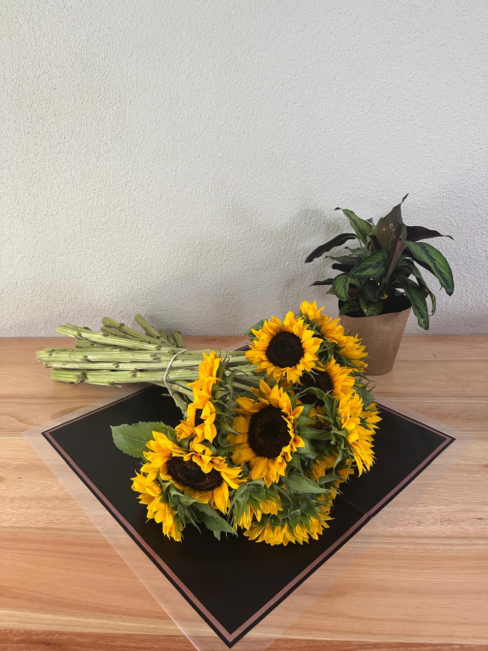 Emballage de fleurs en cellophane : noir semi-transparent avec bordure givrée et bordure dorée (paquet de 20)