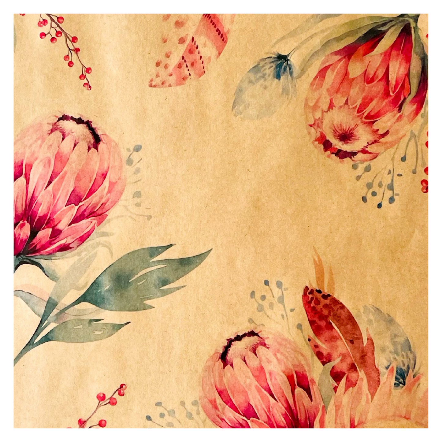 Manchon Eco Bouquet 2 - Protea (paquet de 20)