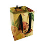 Coffret Bouquet 1 - Protea (Paquet de 20)