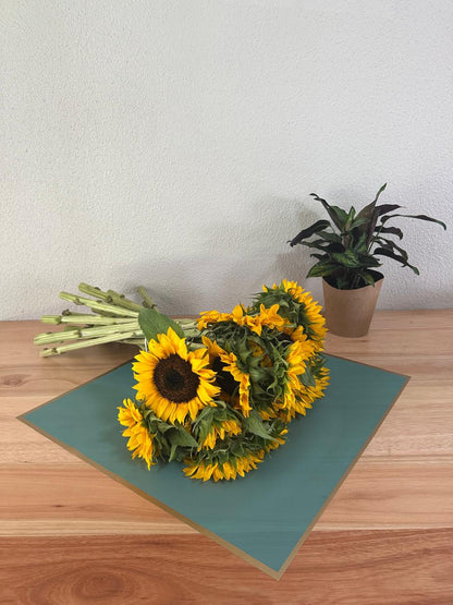 Cellophane Flower Wrap: Semi Transparent Dark Turquoise With Gold Border (Pack of 20)