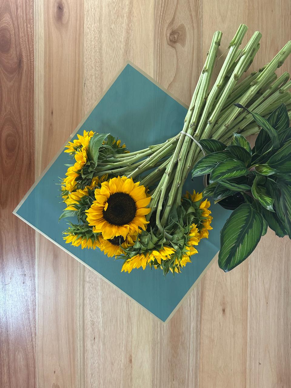 Cellophane Flower Wrap: Semi Transparent Dark Turquoise With Gold Border (Pack of 20)