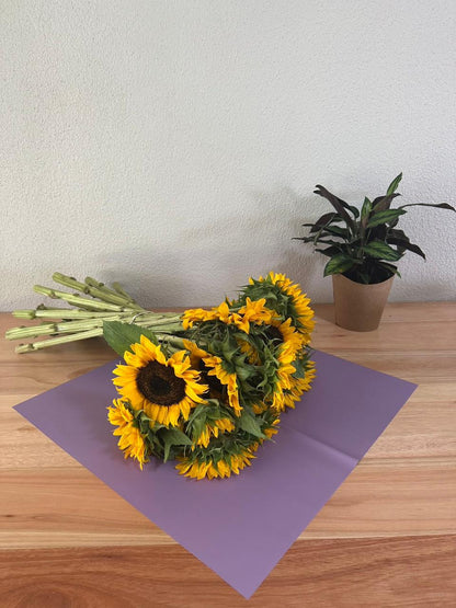 Emballage cellophane pour fleurs : violet clair transparent (paquet de 20)